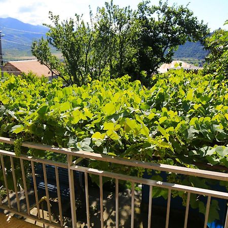 Guest House Green Veranda Mtsʼkhetʼa Kültér fotó