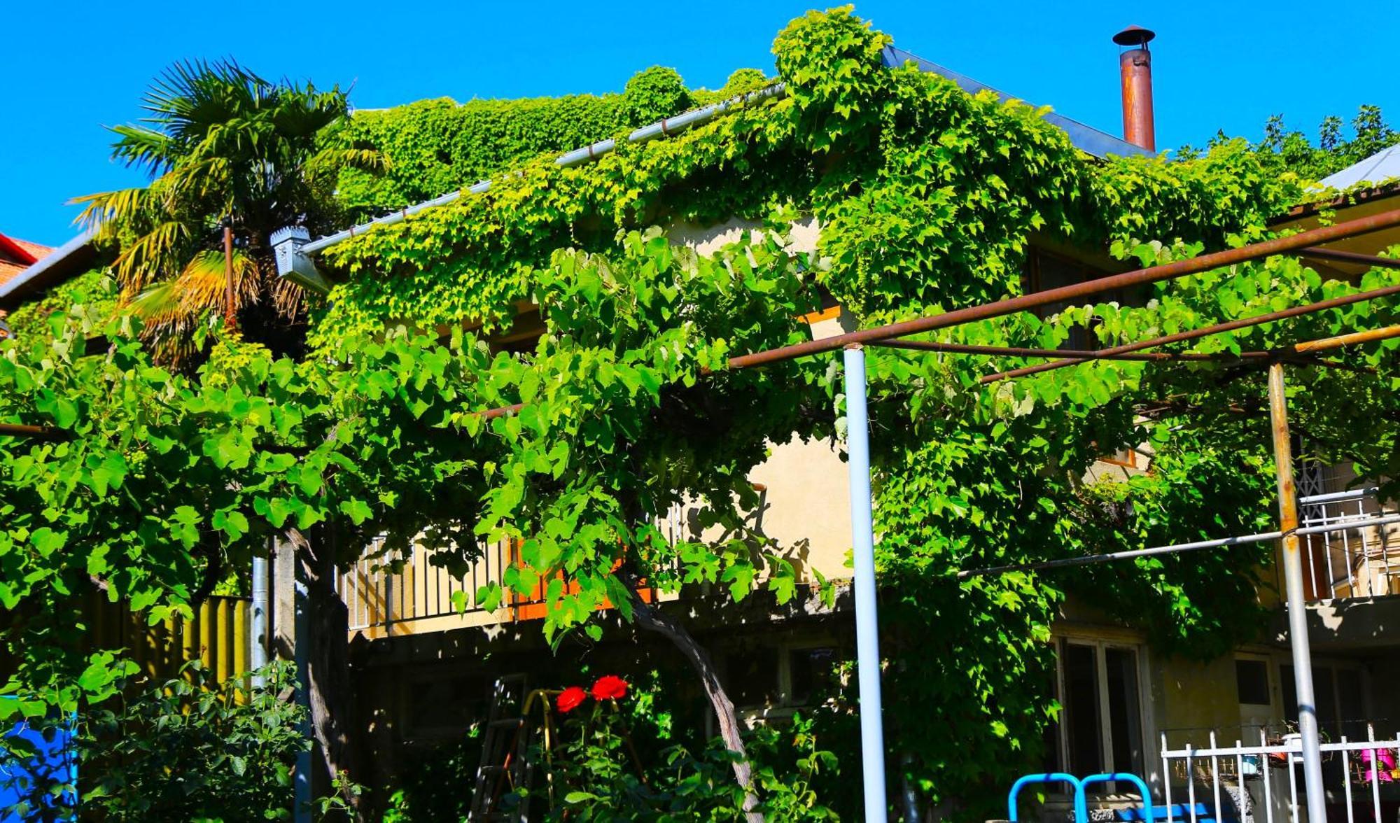 Guest House Green Veranda Mtsʼkhetʼa Kültér fotó