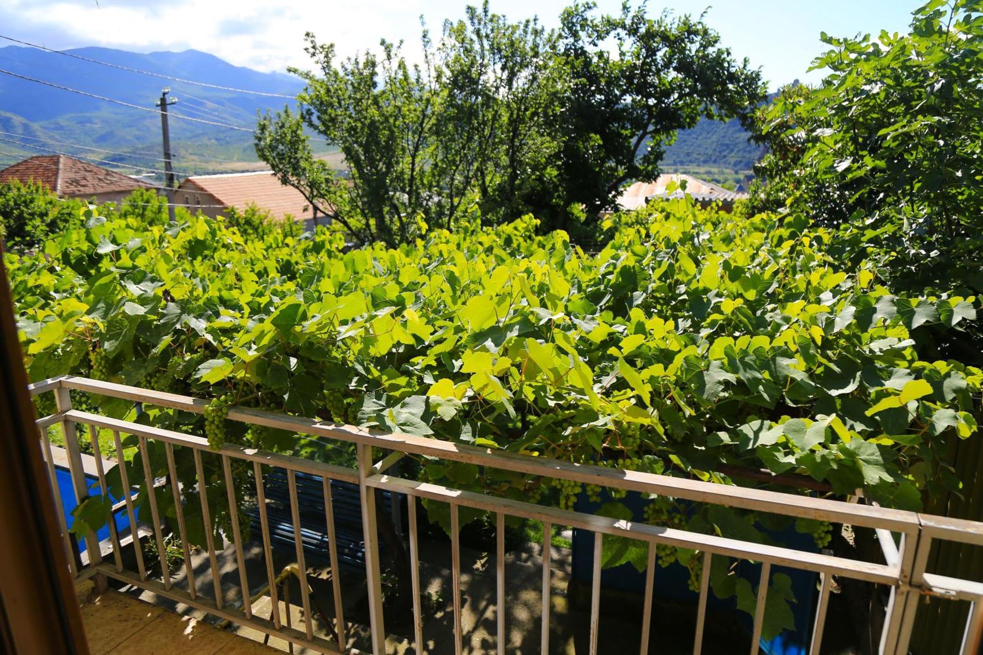 Guest House Green Veranda Mtsʼkhetʼa Kültér fotó