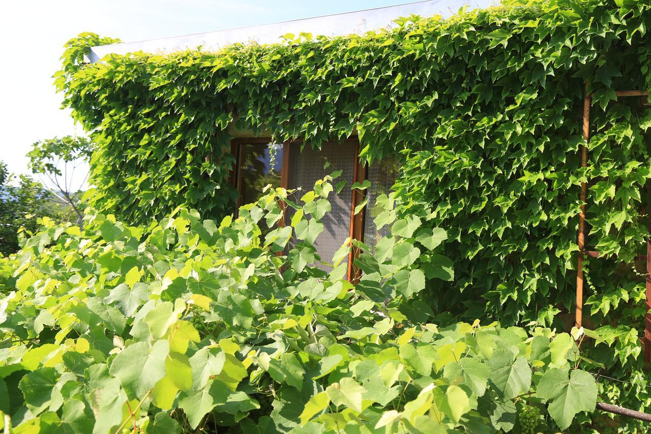 Guest House Green Veranda Mtsʼkhetʼa Kültér fotó
