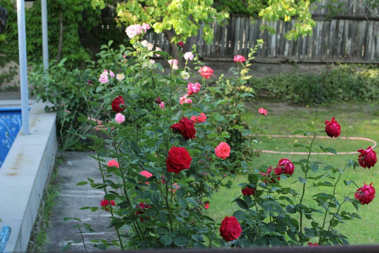 Guest House Green Veranda Mtsʼkhetʼa Kültér fotó